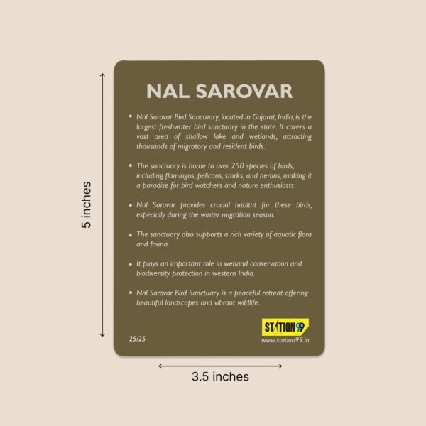 National Park & Bird Sanctuaries of India - Image 4