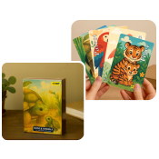 Curiosity Flash Cards